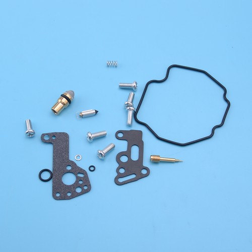 Satz vergaser reparatur - satz,