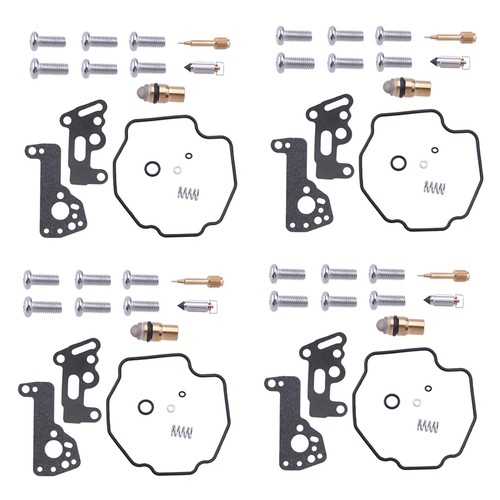 Set vergaser reparatur - set,
